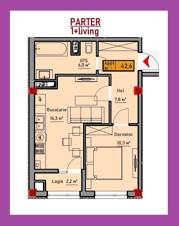 Apartament cu 1 cameră + living