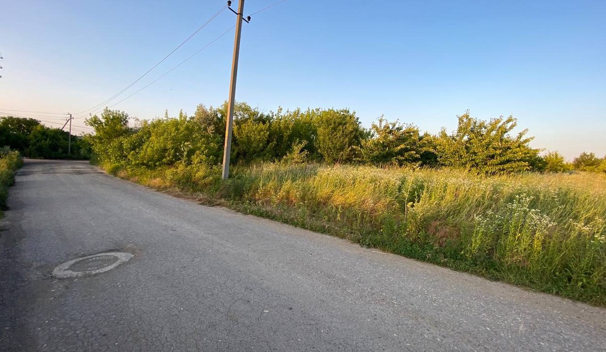 photo_5382102366083479726_y