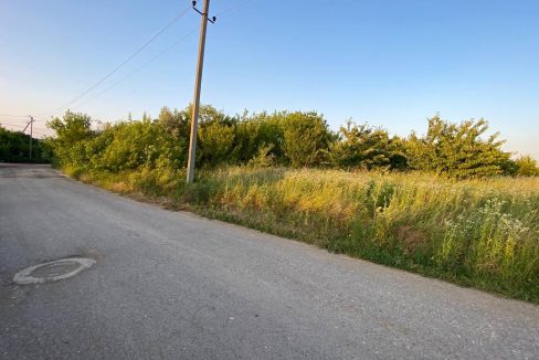 photo_5382102366083479726_y