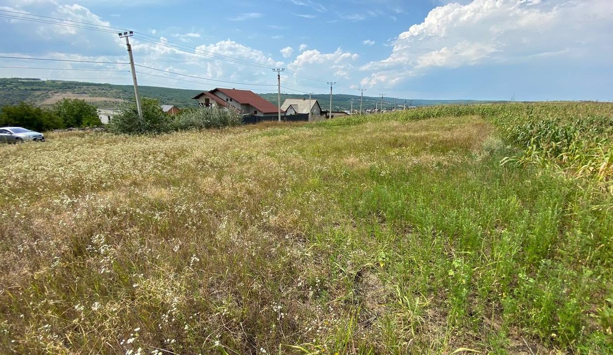 photo_5231490730734776443_y