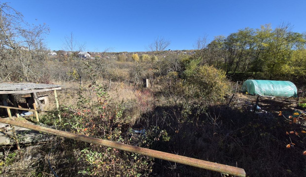 photo_5192722689473771994_y