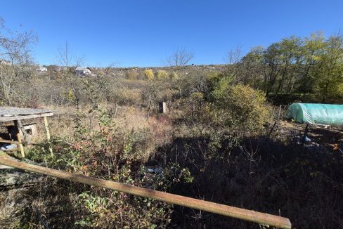 photo_5192722689473771994_y