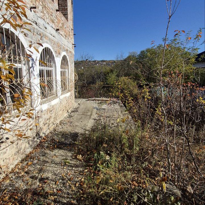 photo_5192722689473771997_y