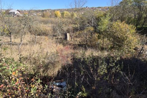 photo_5192722689473772003_y