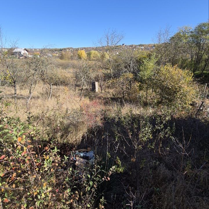 photo_5192722689473772003_y