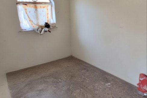 photo_5192722689473772801_y