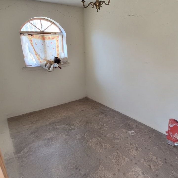 photo_5192722689473772801_y