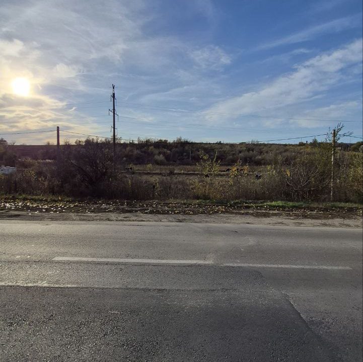 photo_5194974489287459457_y