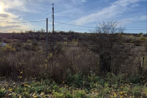 photo_5194974489287459458_y