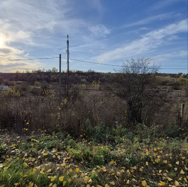 photo_5194974489287459458_y