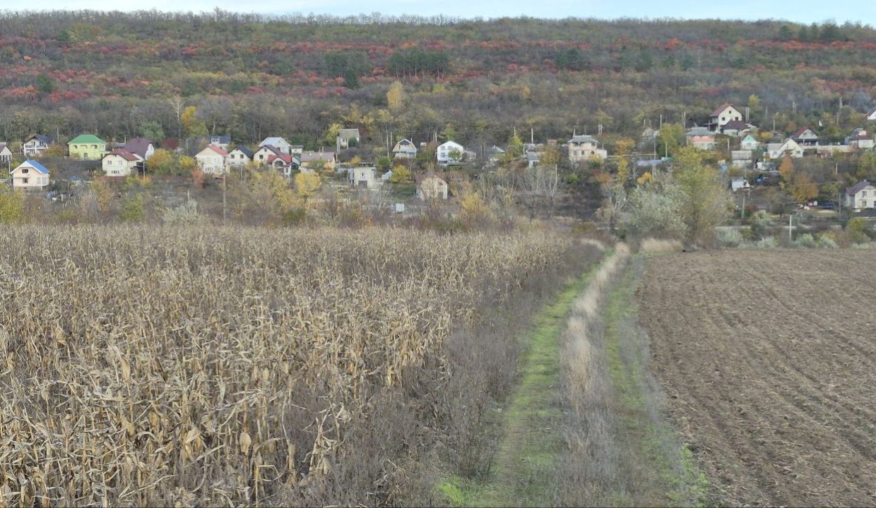 photo_5194974489287459459_y