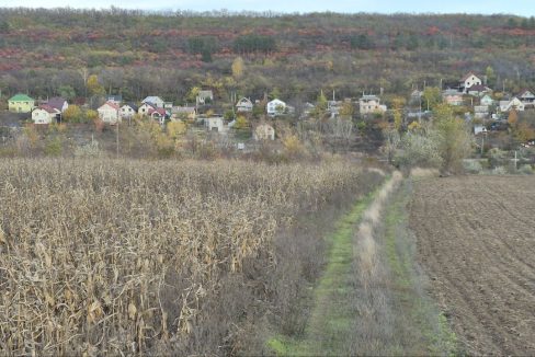 photo_5194974489287459459_y