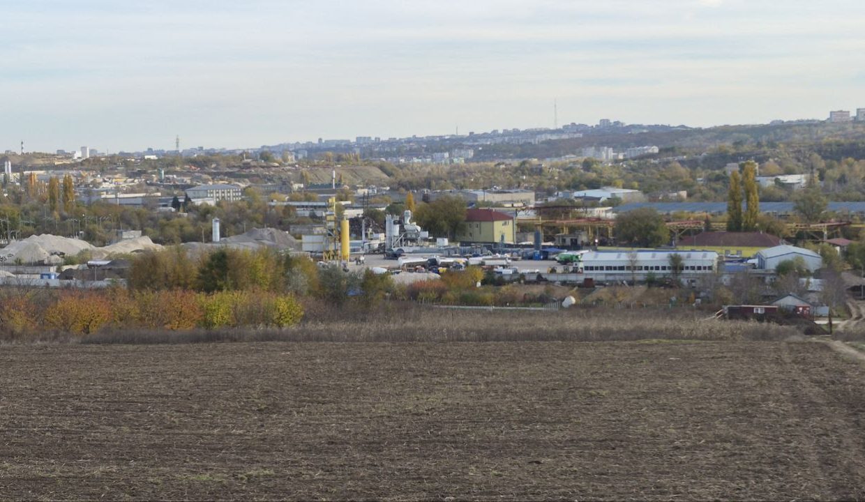 photo_5194974489287459460_y