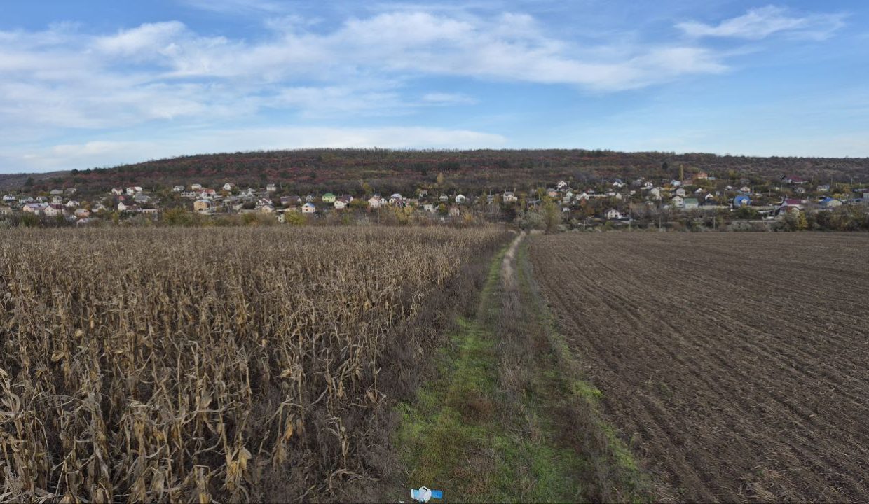 photo_5194974489287459461_y