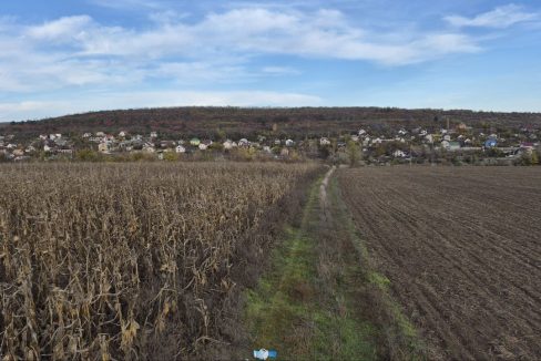 photo_5194974489287459461_y