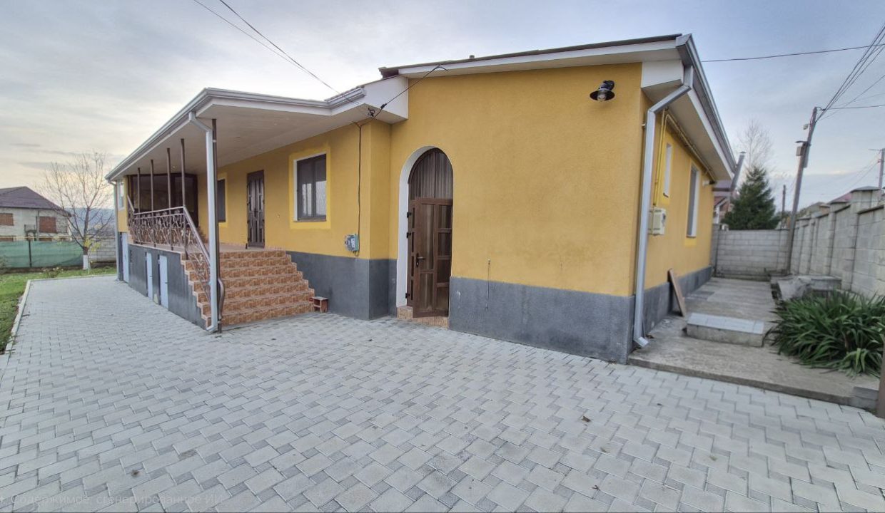 photo_5249462841000005240_y